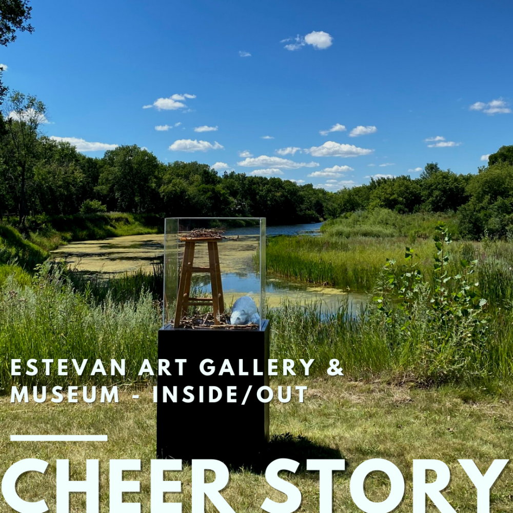 Cheer Story: Estevan Art Gallery & Museum - Inside/Out