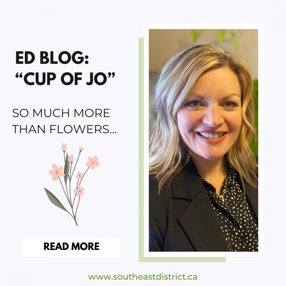 Ed Blog Cup Of Jo So Much More Than Flowers