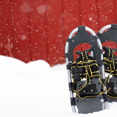 Winter Town Initiative