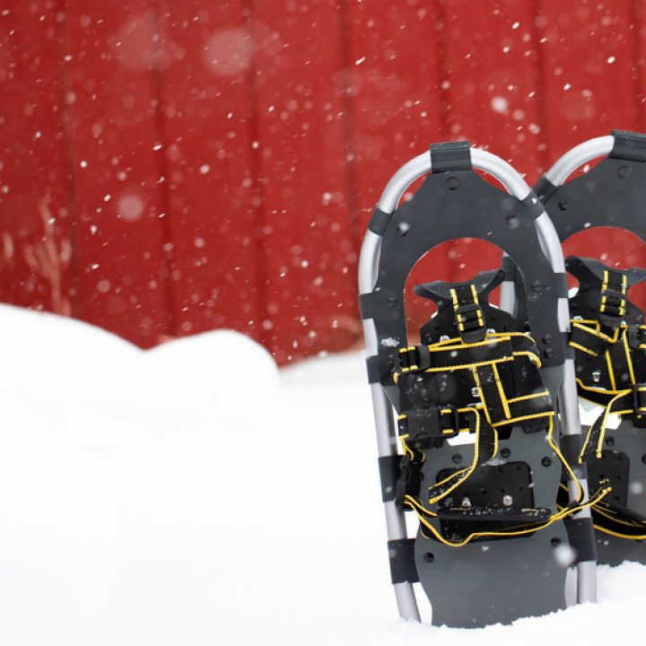 Winter Town Initiative